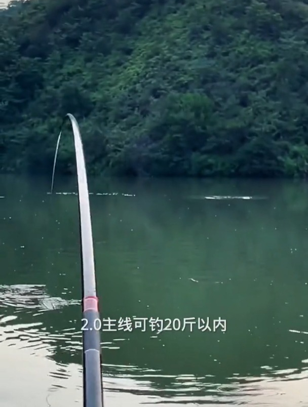 云飞的竞技线组真实效果如何?和普通线组有什么区别?