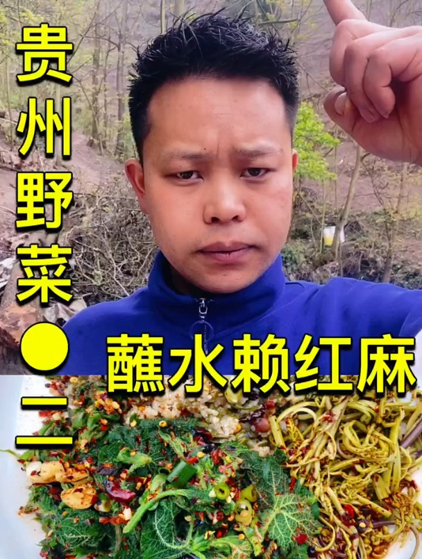 野菜你们知道,但贵州野菜赖红麻你们一定不知道