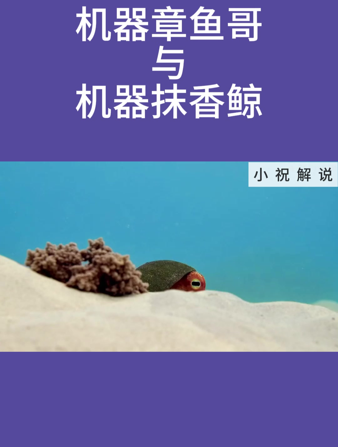 机器章鱼哥与机器抹香鲸!