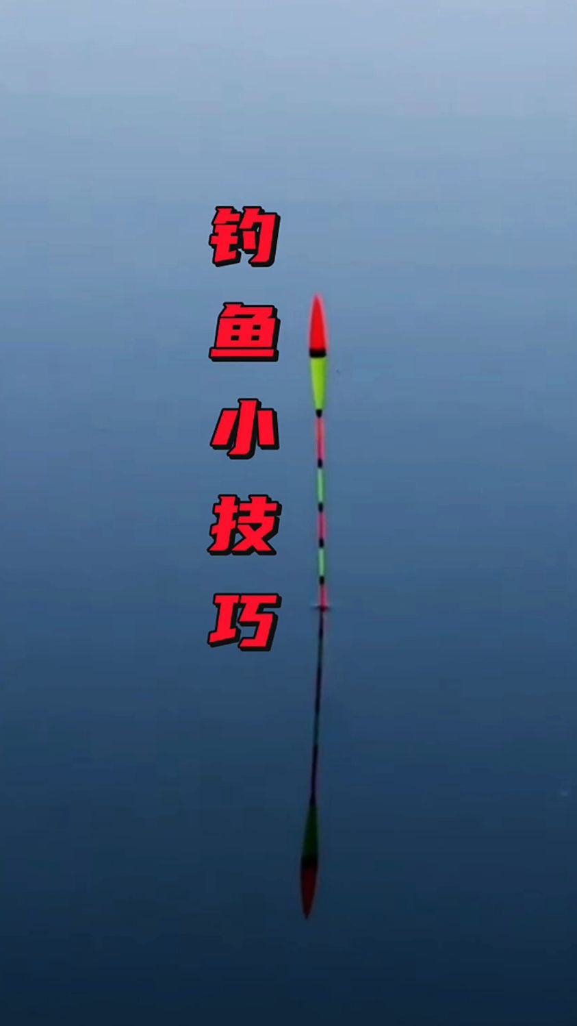 记住这几个钓鱼口诀少走弯路多钓鱼。