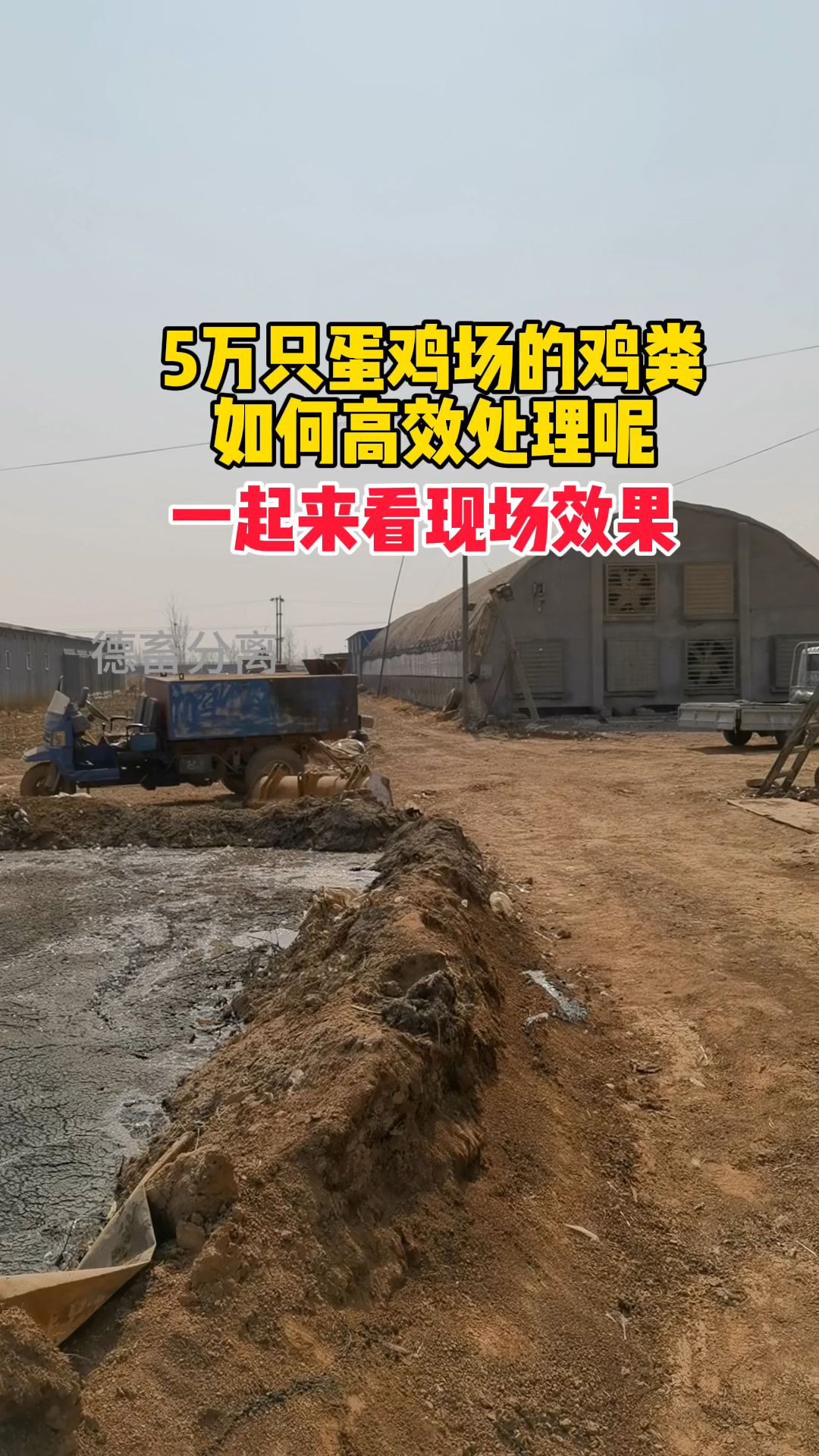 5万只鸡粪如何高效处理