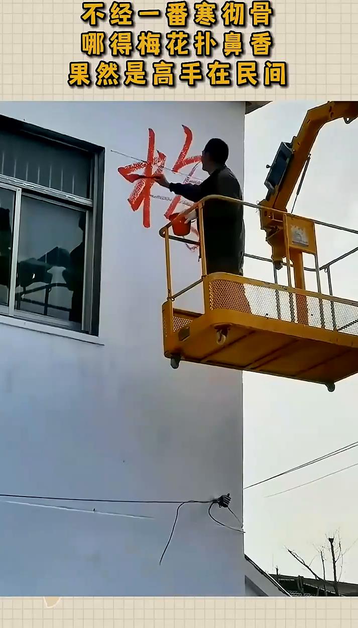 不经一番寒彻骨哪得梅花扑鼻香果然是高手在民间