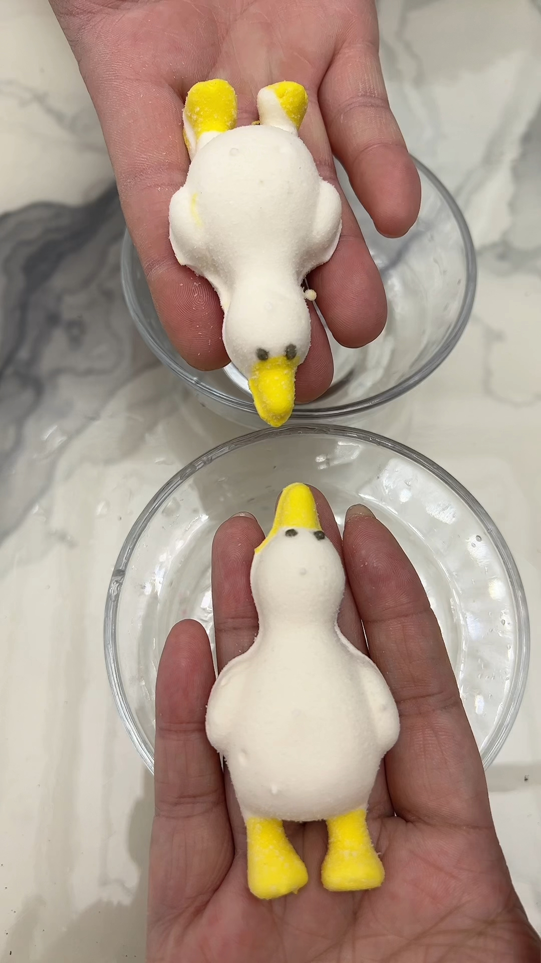 小鸭子为什么不能游泳呢?