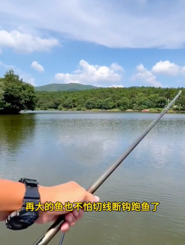 自带鱼钩的大力马线组,效果如何?和普通线组有什么区别?