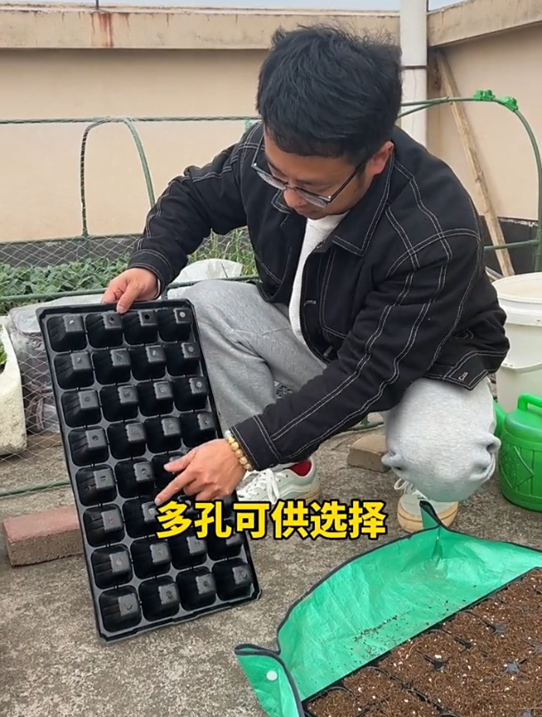 早春种瓜果蔬菜,用专业工具育苗,存活率更高!