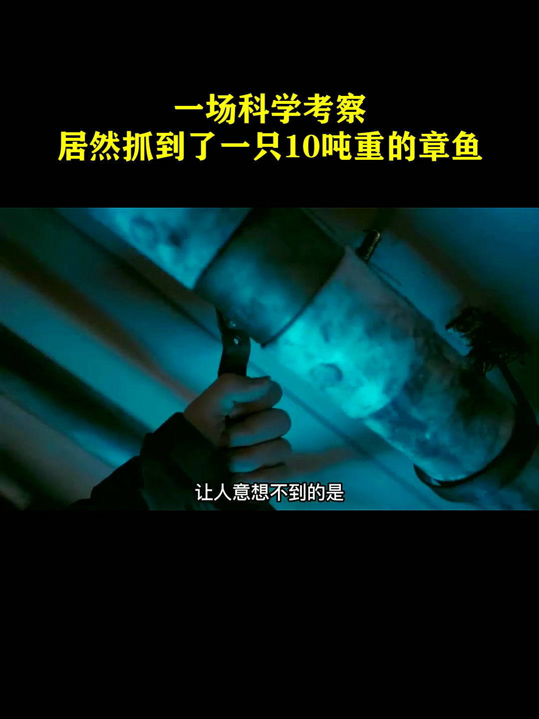一场科学考察,居然抓到了一只10吨重的章鱼!
