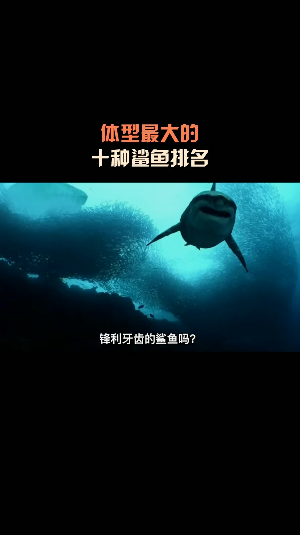体型最大的,十种鲨鱼排名