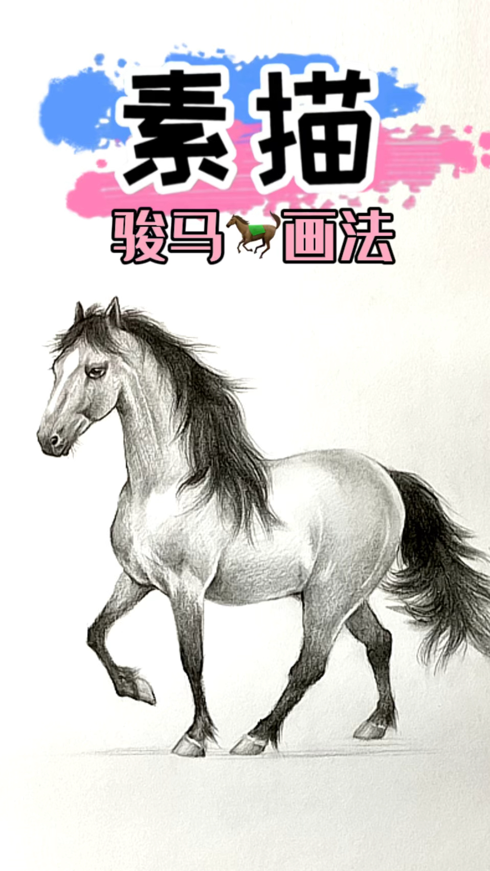 素描马的画法完整视频