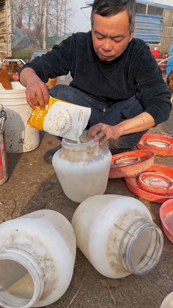 农村养鸡高手有技术