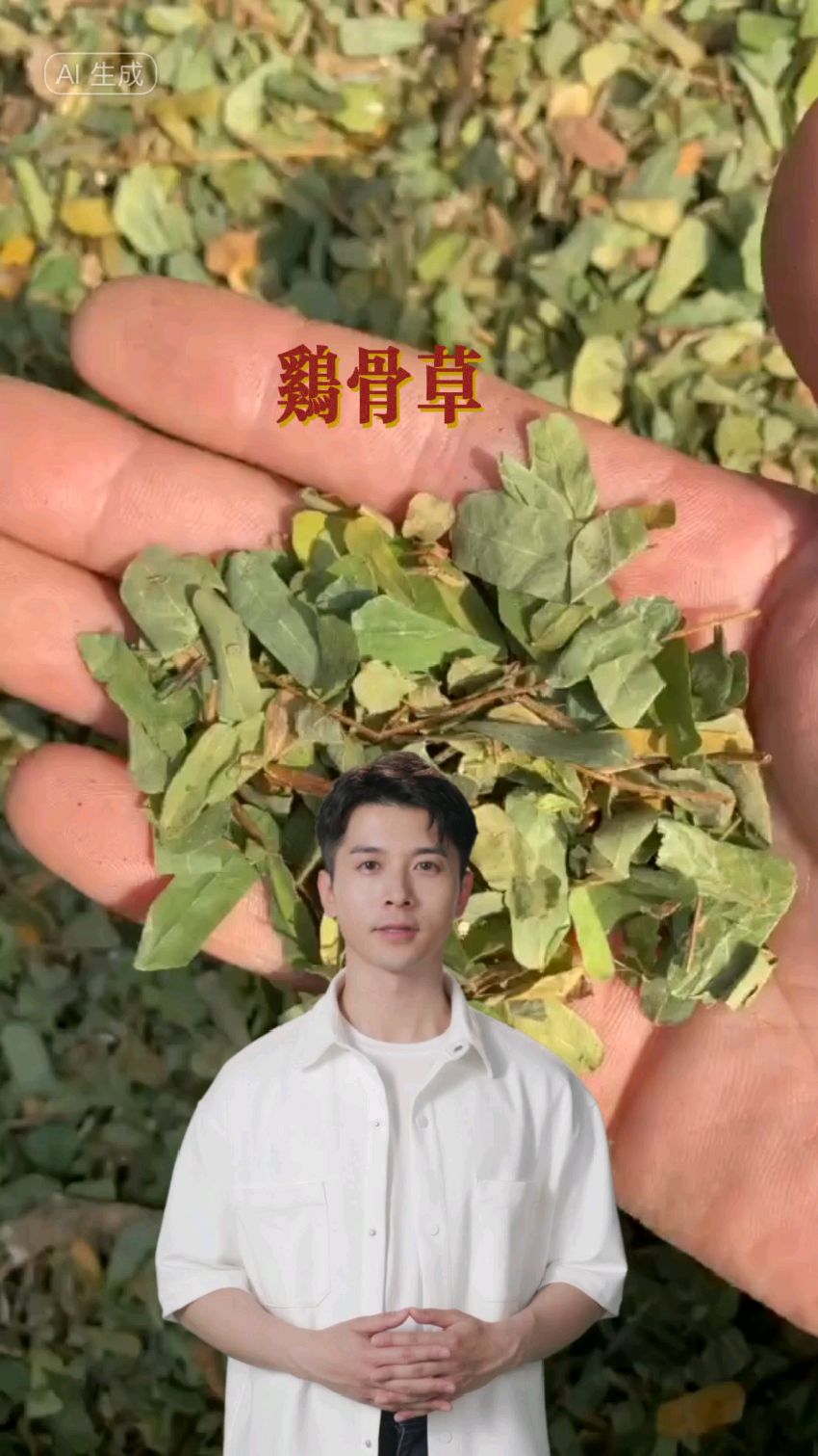 鸡骨草欢迎家人们了解