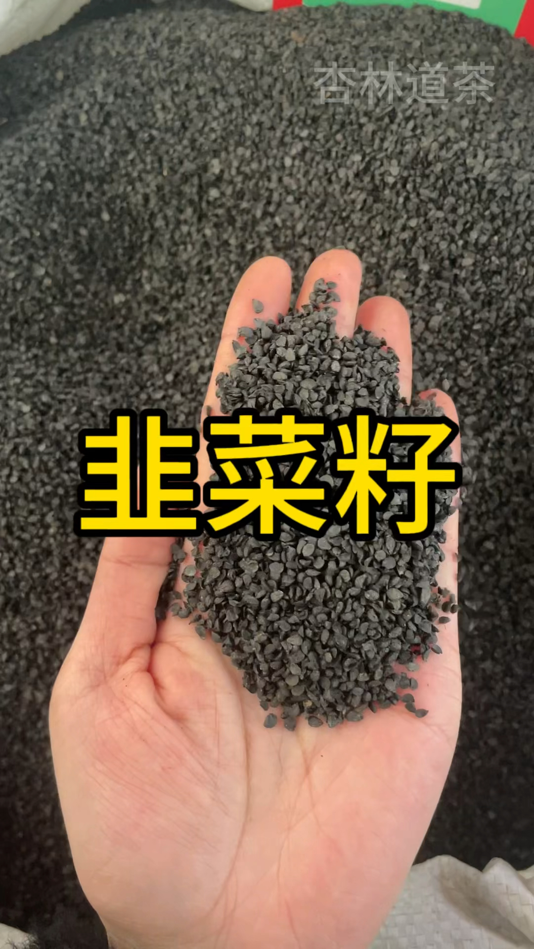 韭菜籽泡水的作用你知道吗?