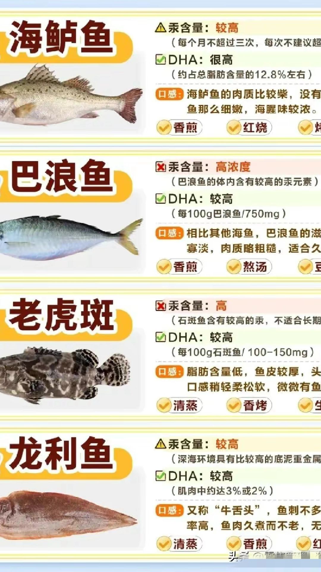 常见的海鱼品种及图鉴