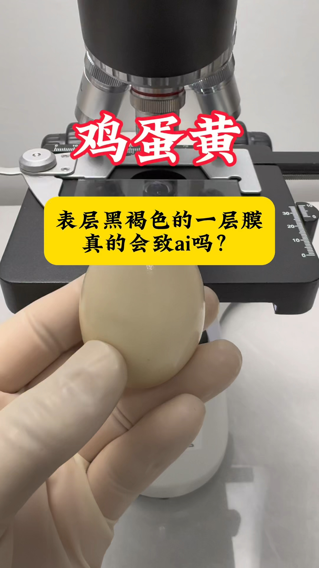 鸡蛋黄里面黑色的膜能吃吗?
