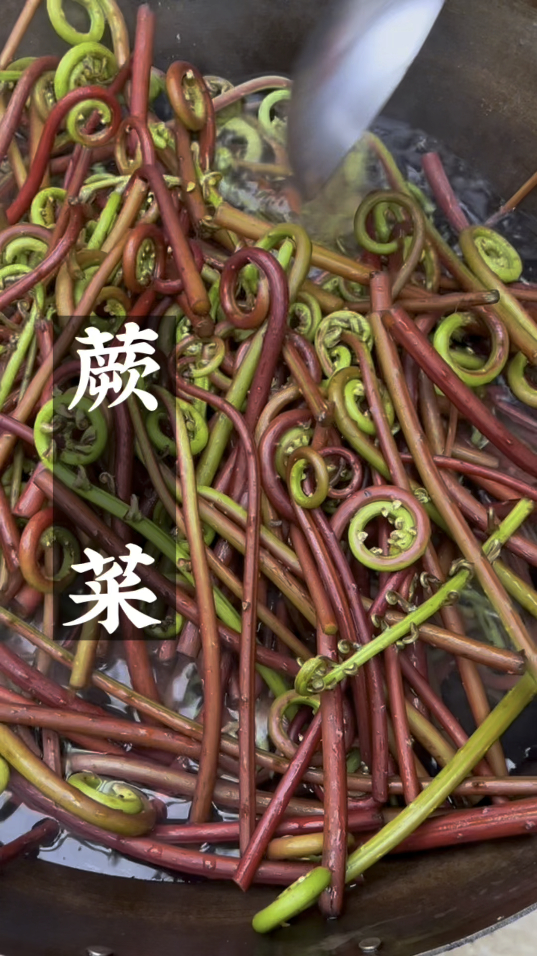 很多人说蕨菜不能吃,而我们却从小吃到大