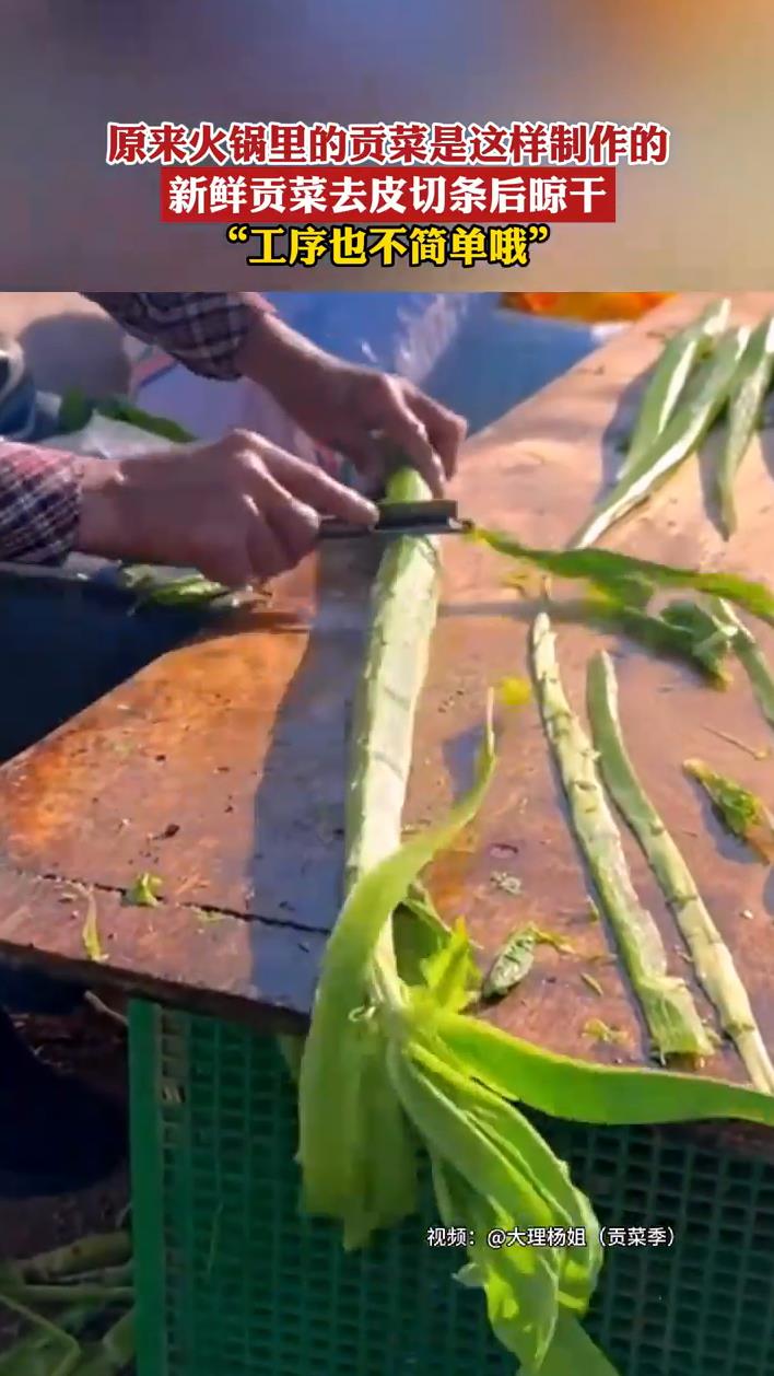 原来火锅里的贡菜是这样制作的,新鲜贡菜去皮切条后晾干!