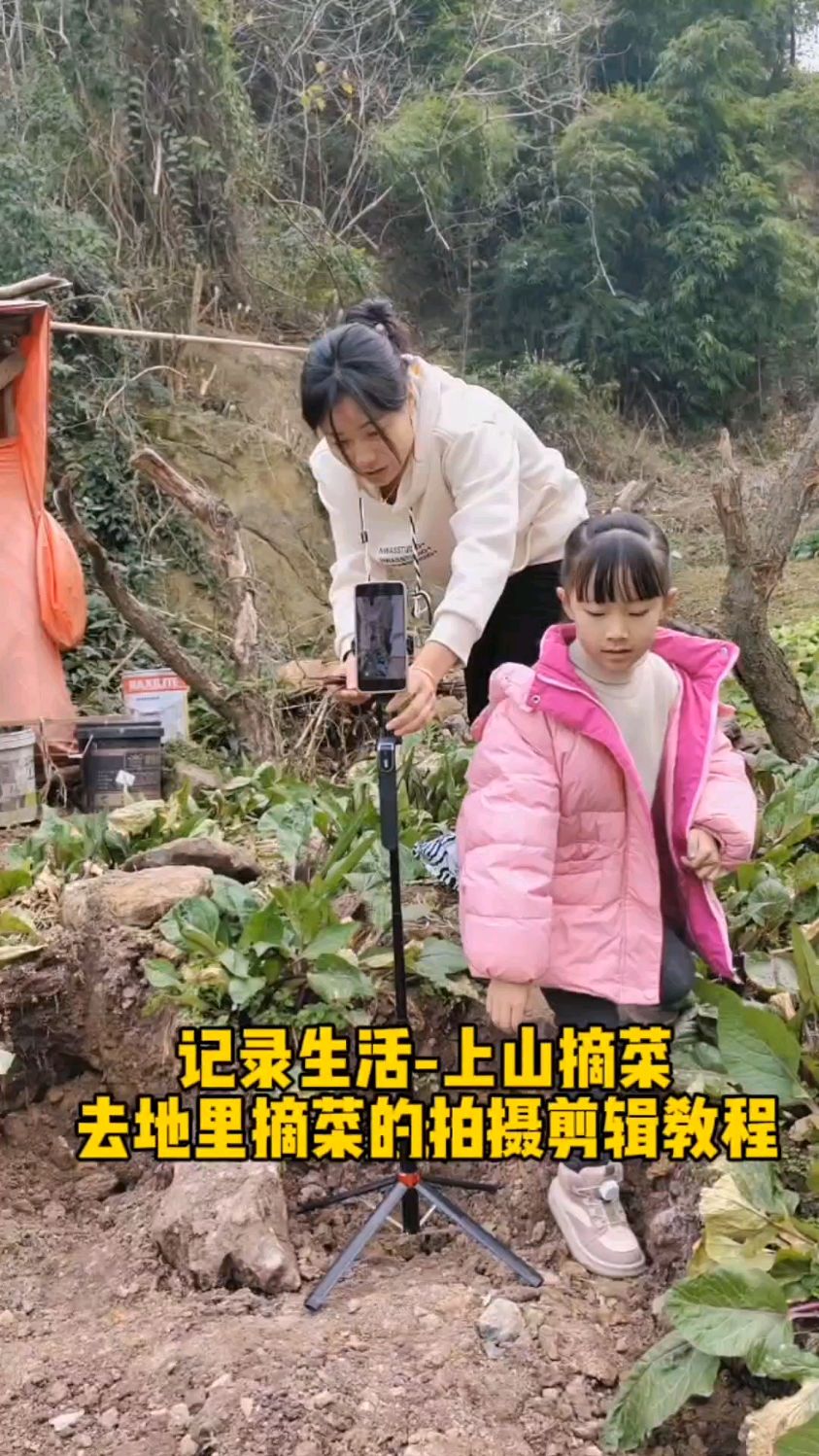 记录生活去地里摘菜的视频拍摄剪辑全过程