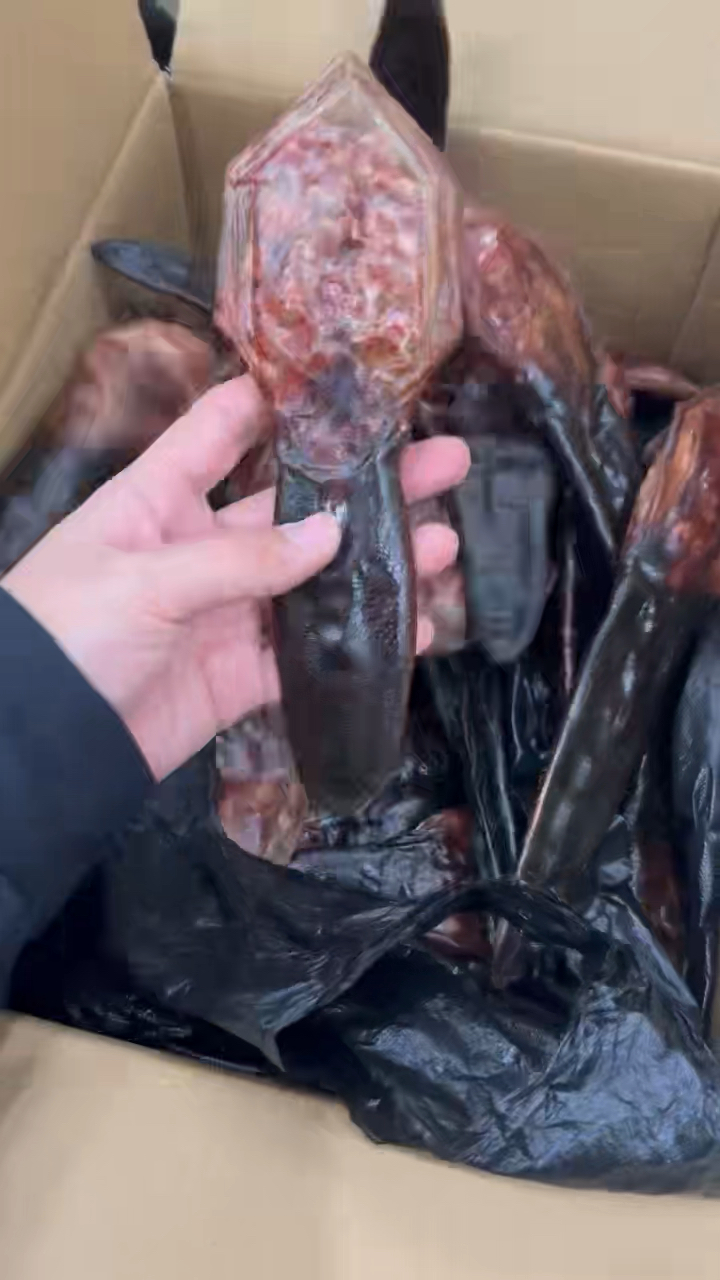 梅花鹿鹿尾,可以煲汤,泡酒,炖补