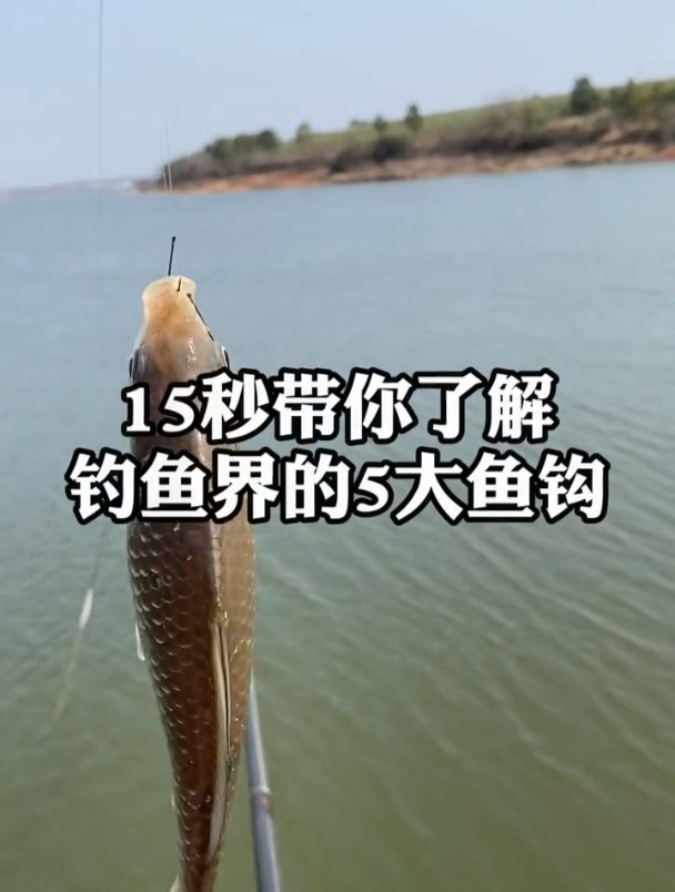 钓鱼界的5大鱼钩,钓友们用的是哪种?