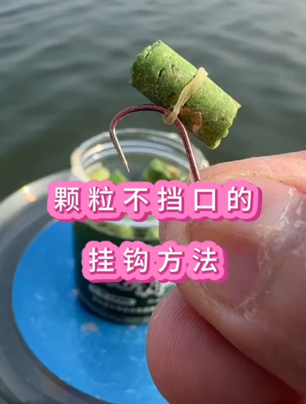 钓鱼用颗粒饵如何才能不挡口?老钓友演示正确挂法!