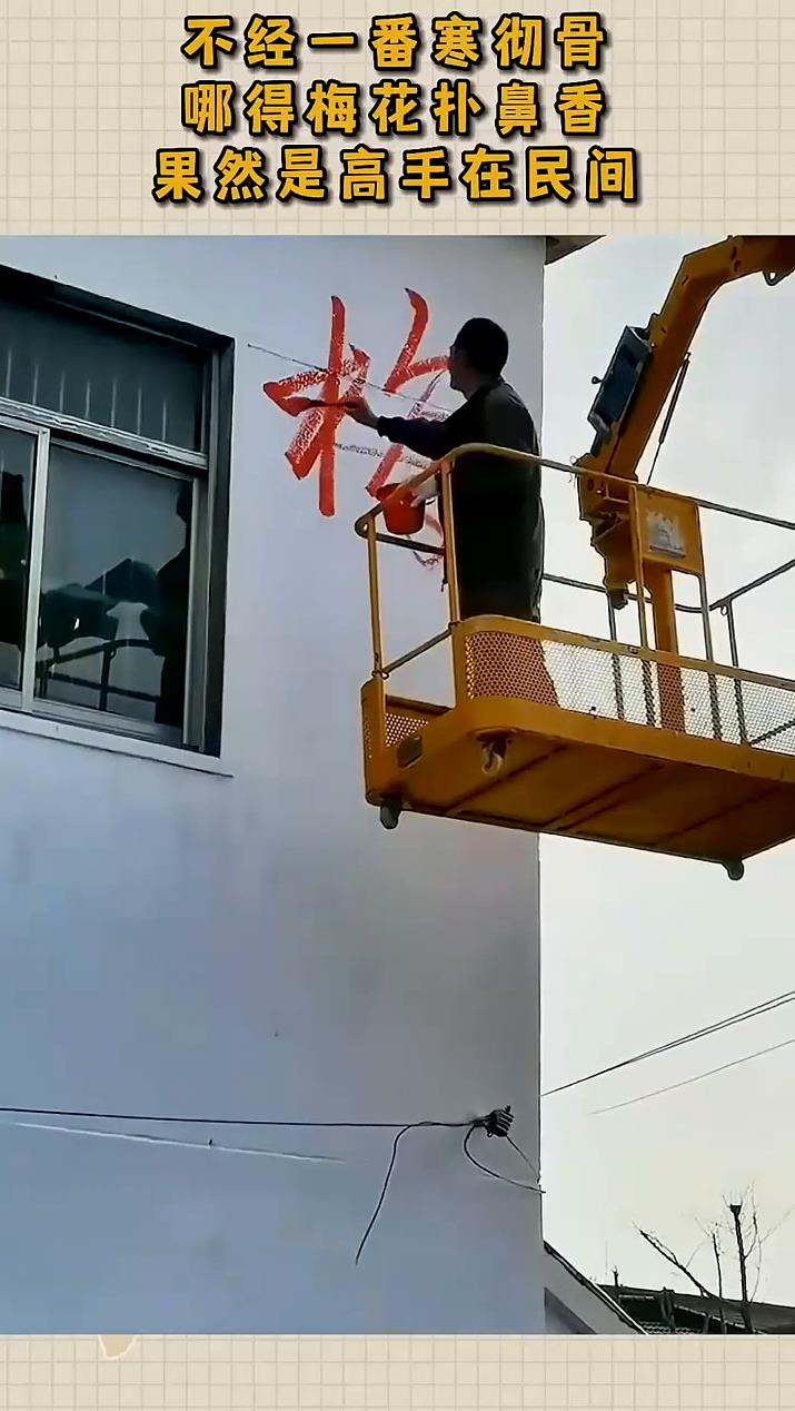 不经一番寒彻骨哪得梅花扑鼻香果然是高手在民间