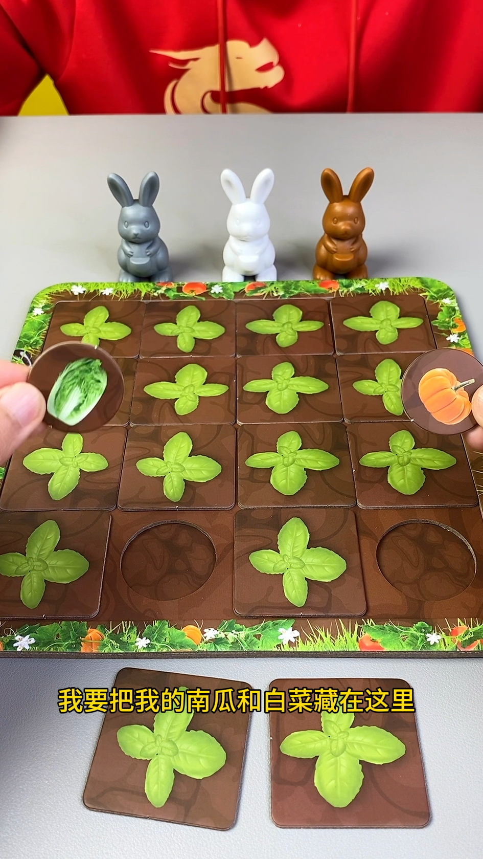 可恶的小灰兔竟然偷我们的菜地