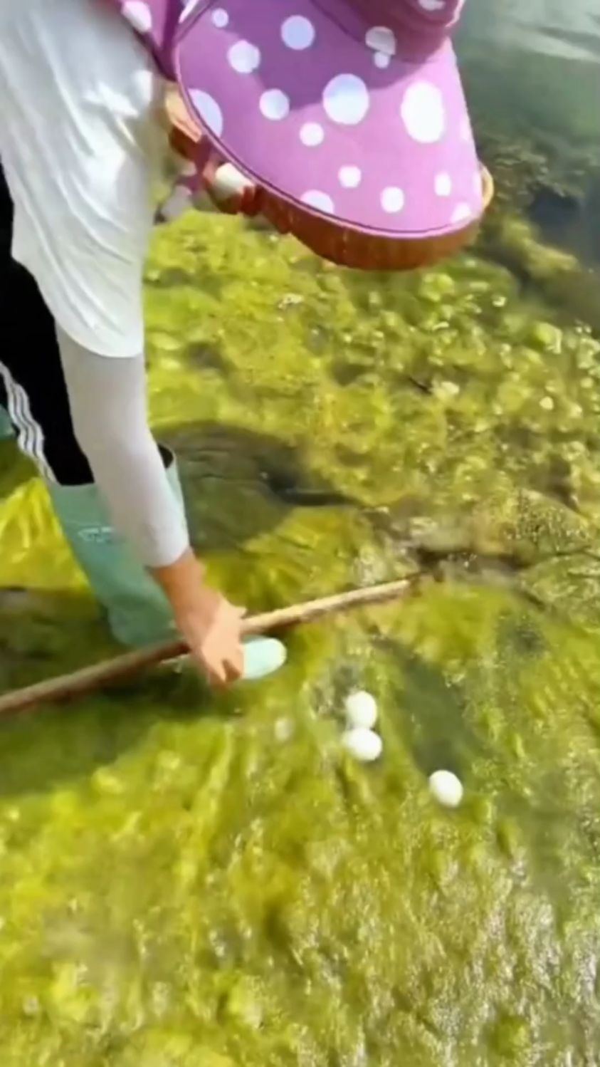这就是海鸭蛋吧,这鸭子那都是吃小鱼小虾长大的,下出来的蛋得老好了。