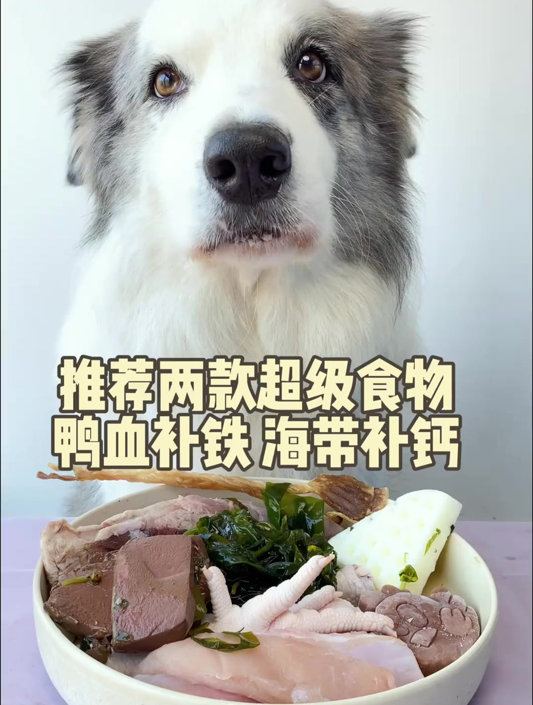 两款超级食物 鸭血补铁 海带补钙……