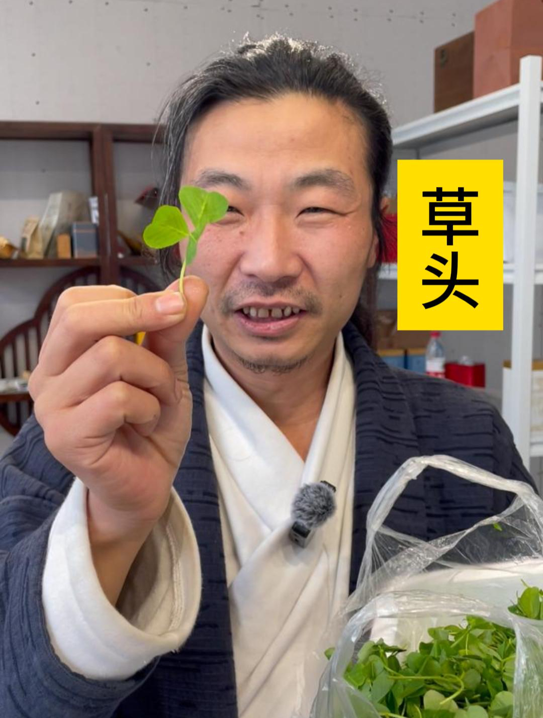 上海草头是怎么被做成茶的
