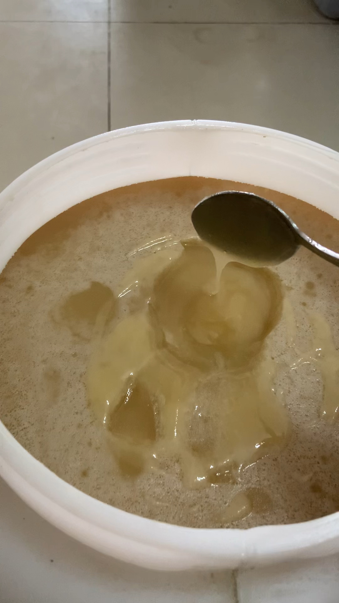 鸭脚木冬蜜结晶了需要体验的朋友可以备注结晶的