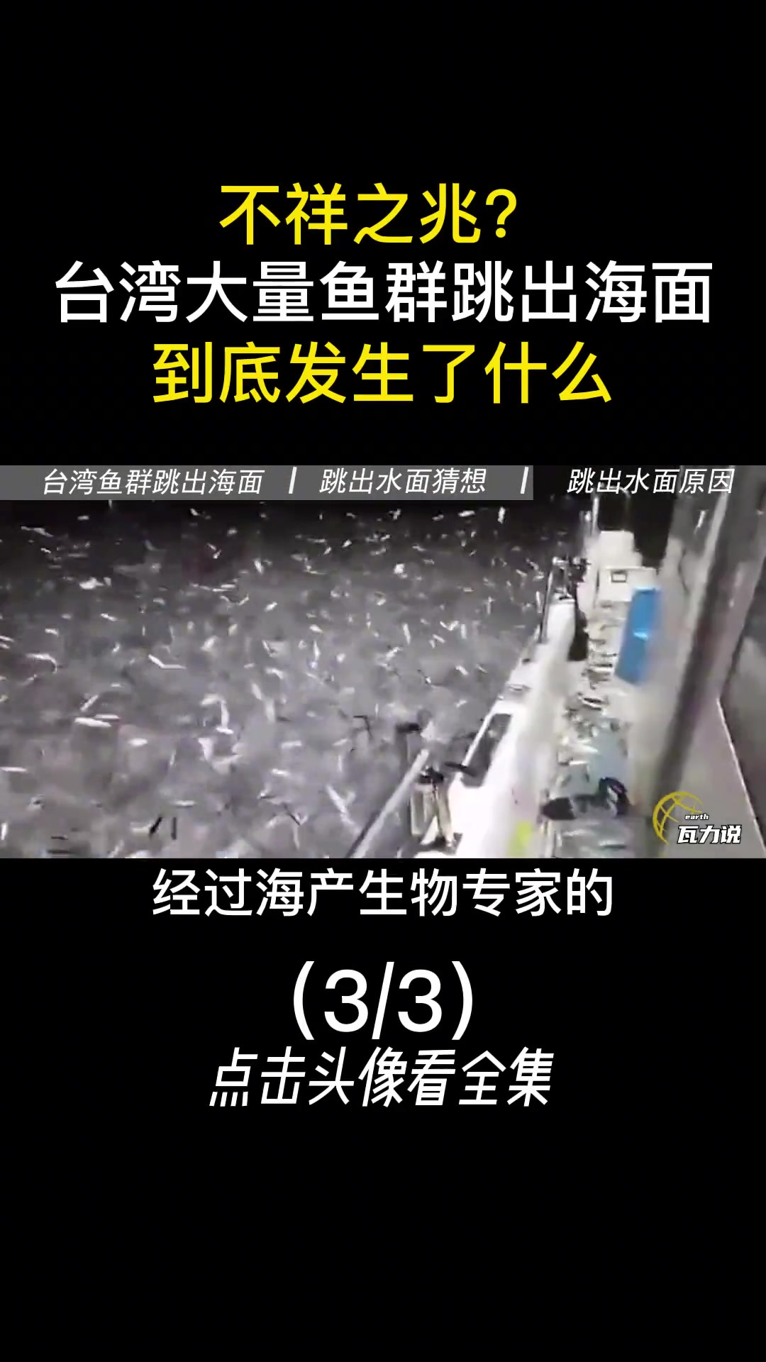 不详之兆?大批量的群跳出海面,这到底是怎么回事?