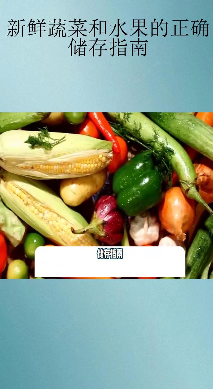 新鲜蔬菜和水果的正确储存指南