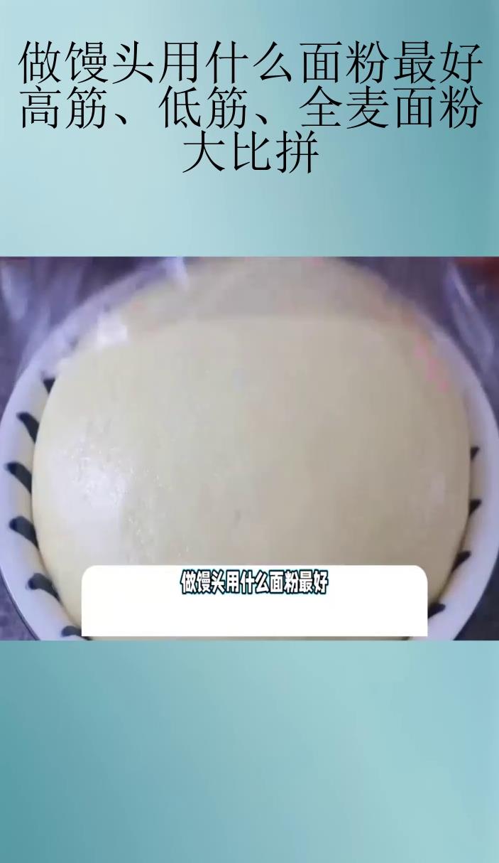 做馒头用什么面粉最好?高筋、低筋、全麦面粉大比拼!