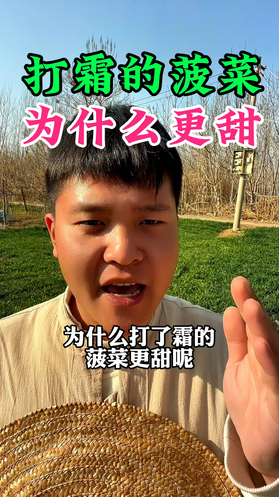 大家发现没有,为什么冬季打了霜的菠菜甜呢