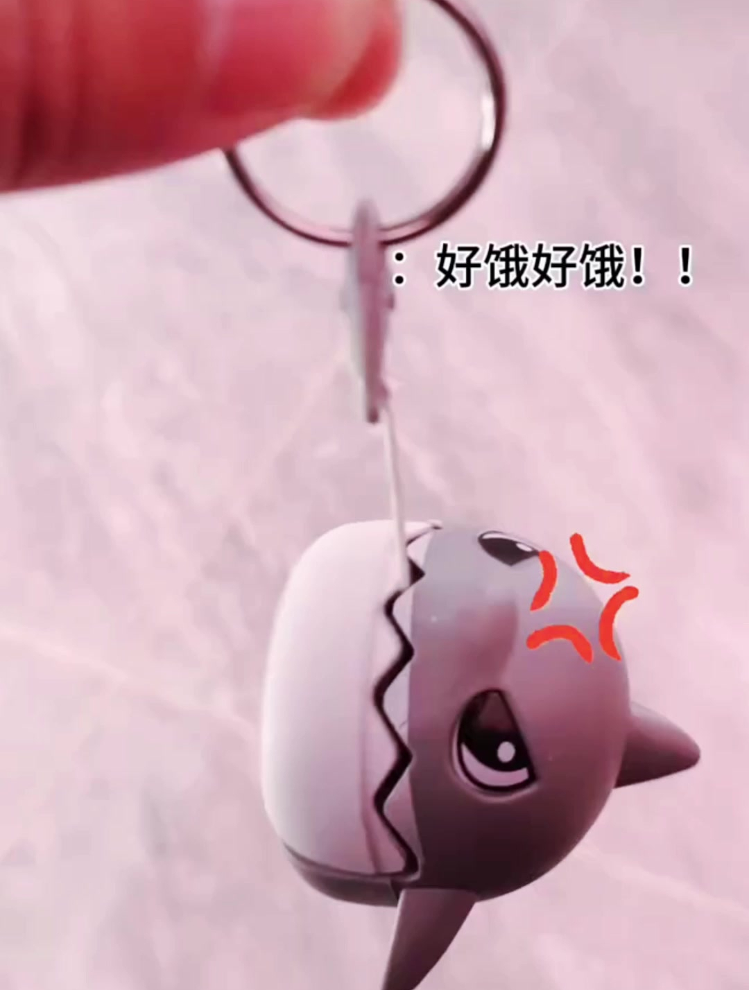 我养的小鲨鱼好爱吃鱼啊~
