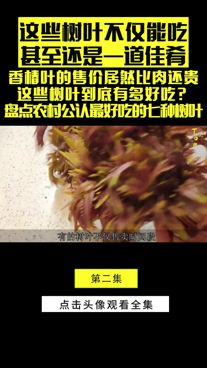 农村公认最好吃的七种树叶,一道菜吃两碗饭,城里人想吃还买不到