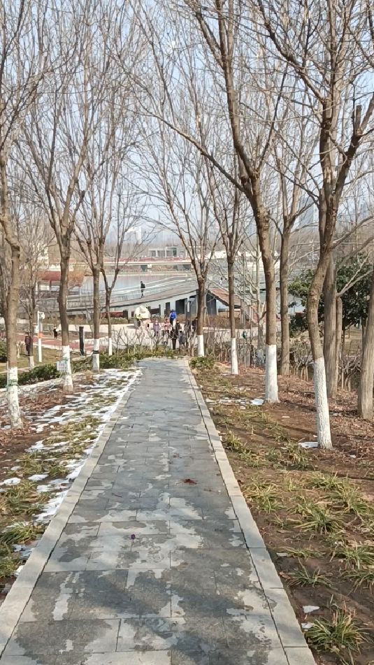 美丽的雕塑公园,风光无限,美景如画