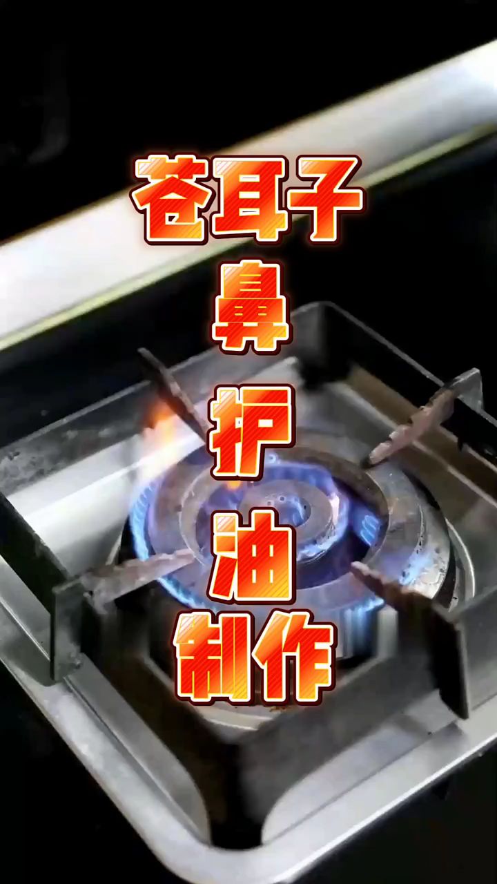 春天到了,苍耳子该采摘了。收好手工制作苍耳子油的过程