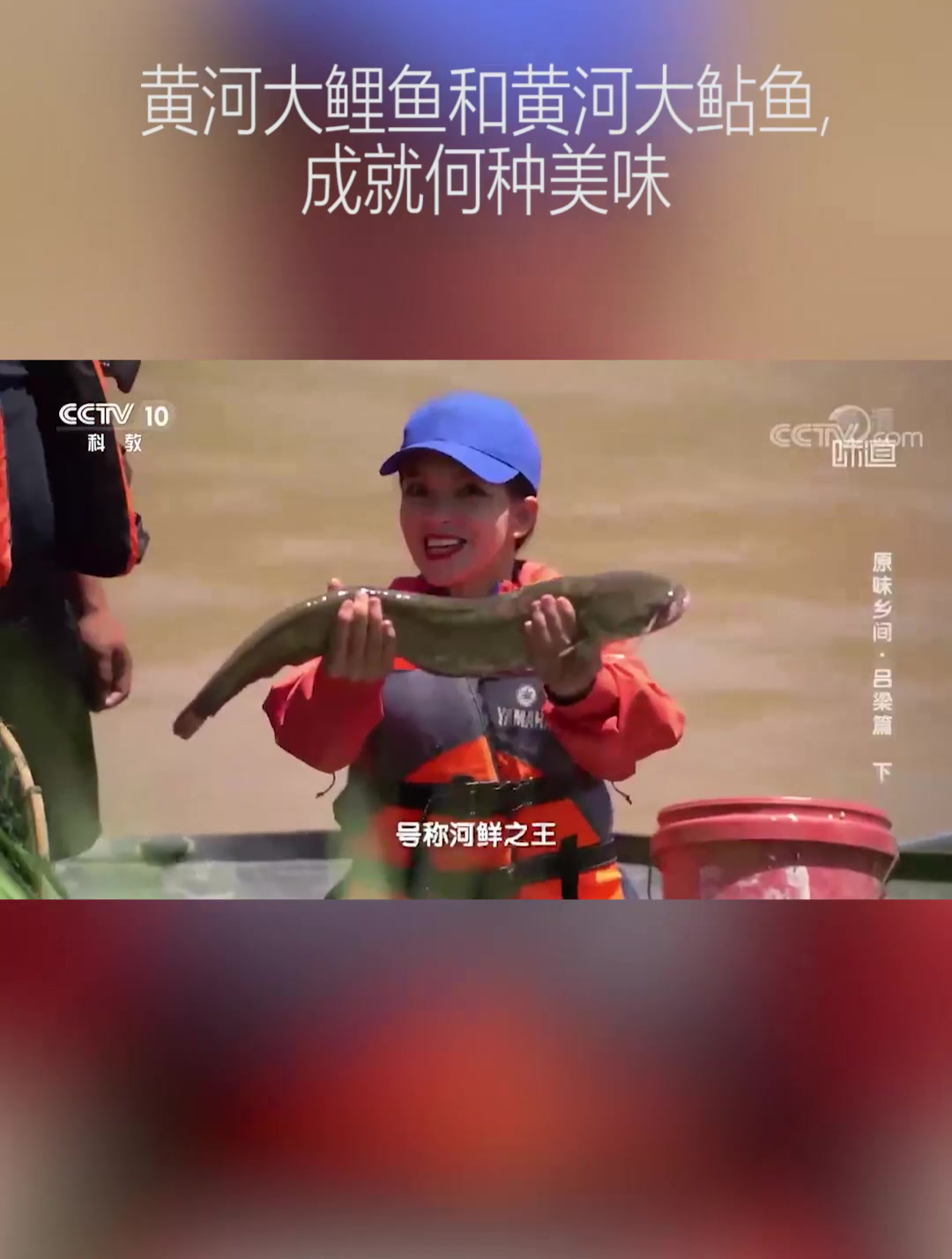 黄河大鲤鱼和黄河大鲇鱼,究竟能做出何种美味