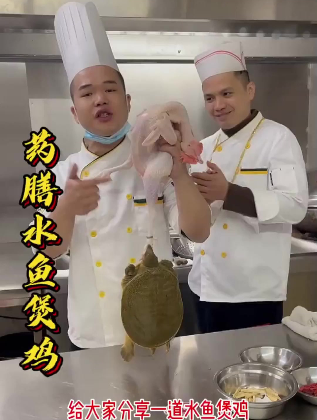广东这几天降温了!“水鱼煲鸡”打边炉