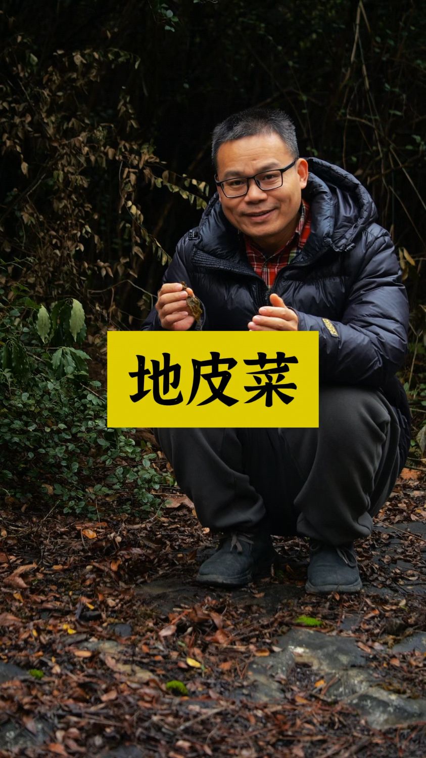 地皮菜四个有意思的地方