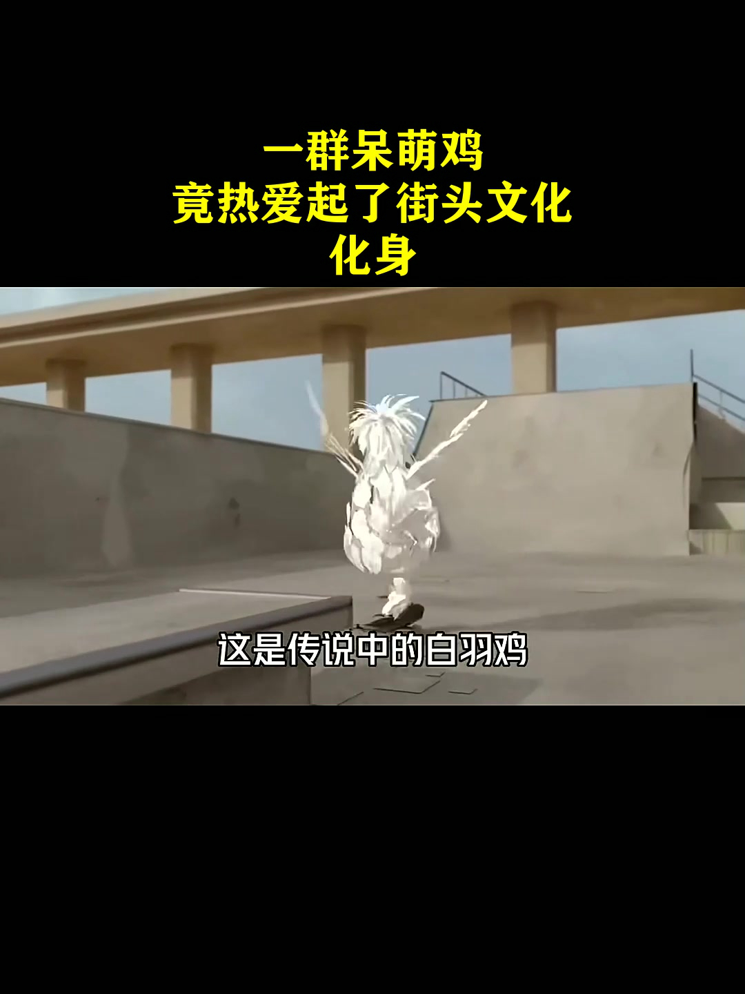 一群呆萌鸡,竟热爱起了街头文化,化身