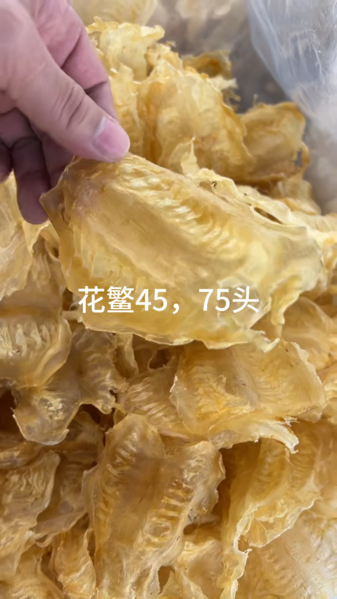 斗湖,花鳘,红鸡胶,顺风赤嘴,佐罗条,阴阳条,公,片,越南花胶筒,老腊顺风片!