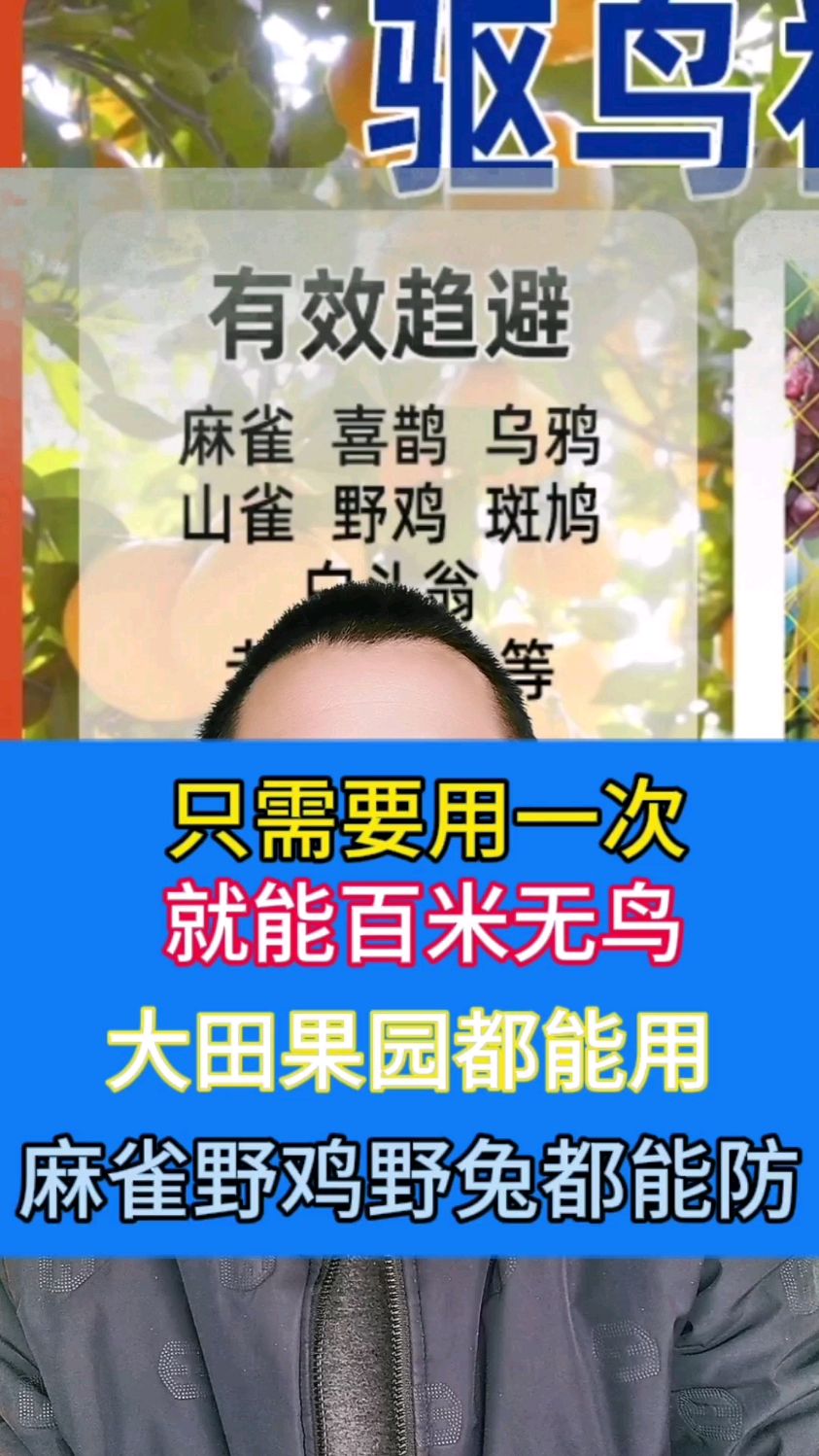 只需要用一次就能百米无鸟,大田果园都能用,麻雀野鸡野兔都能防
