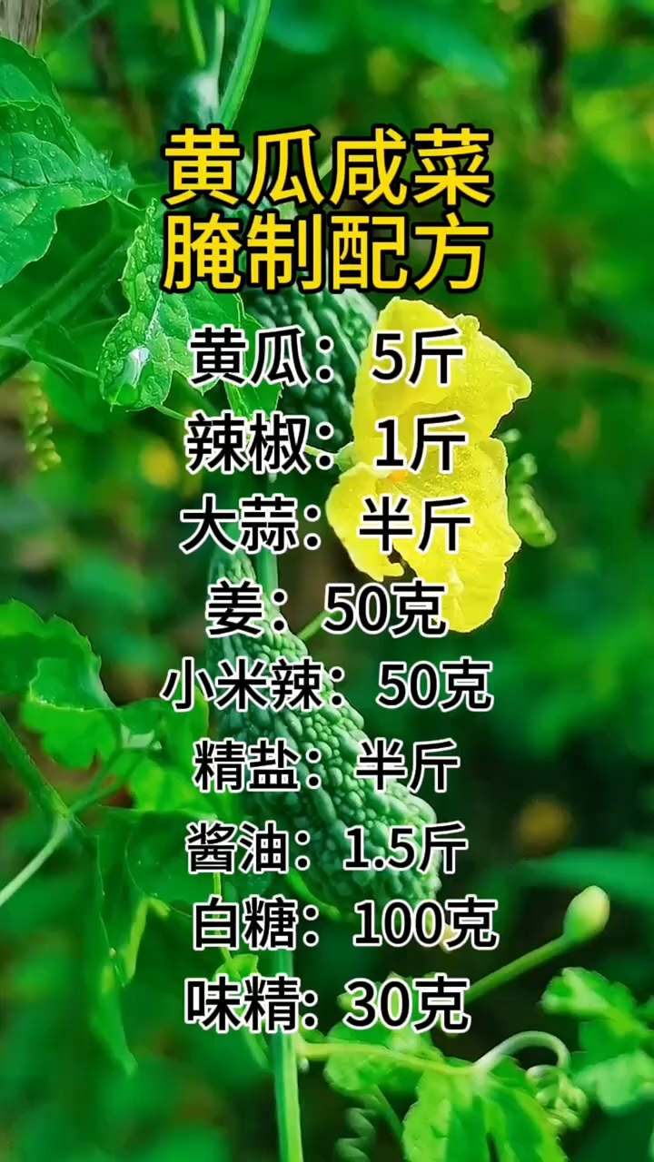脆皮黄瓜腌制