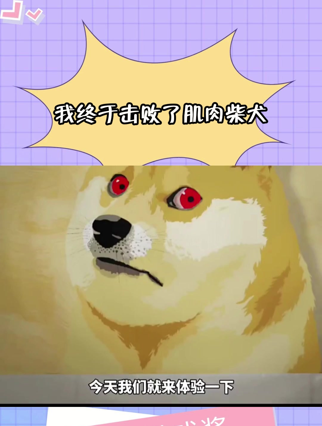 我终于击败了肌肉柴犬!