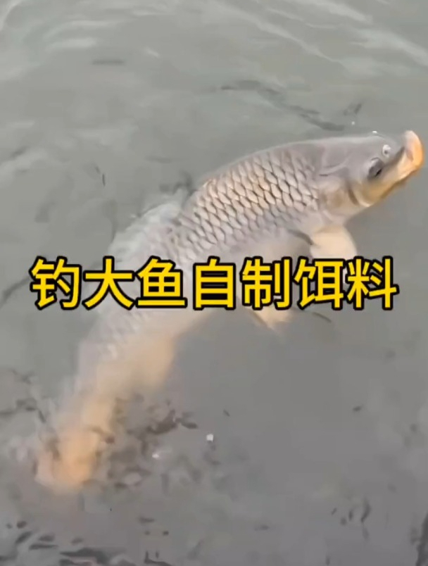 枸杞+味精真能钓到手抽筋?老钓友这样说!