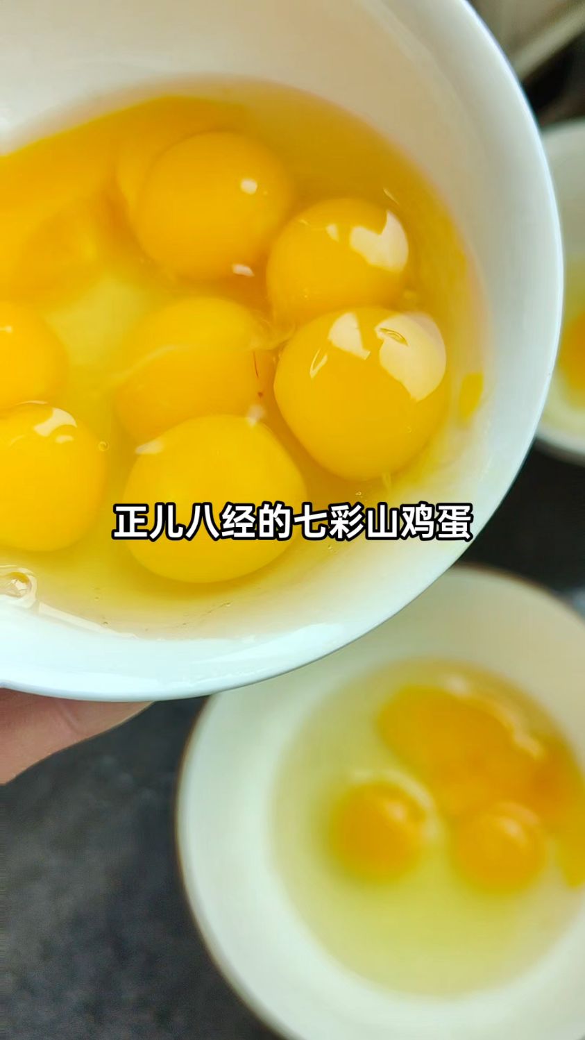 真正的七彩山鸡蛋,双黄蛋加三黄蛋!