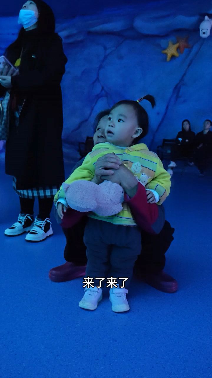 来了来了,美人鱼来了