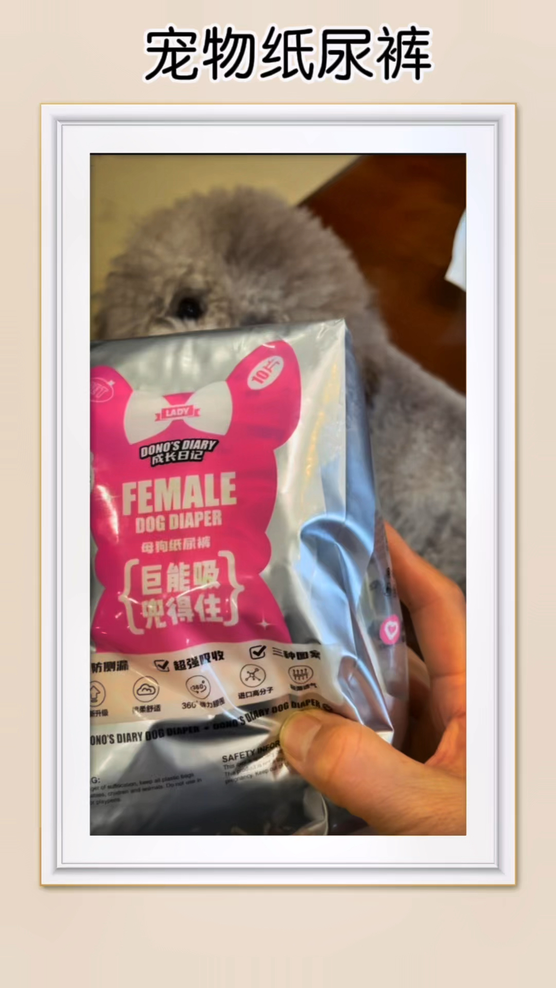 带毛孩子出门担心乱尿怎么办?试试这款宠物纸尿裤,女宝款可以做生理裤。