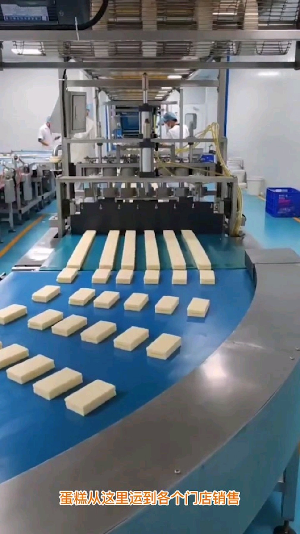 全自动化的蛋糕生产流水线车间,一天生产九万多块蛋糕,三个人就能搞定了!
